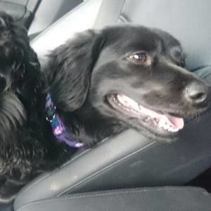 Meet your Posher, Donna